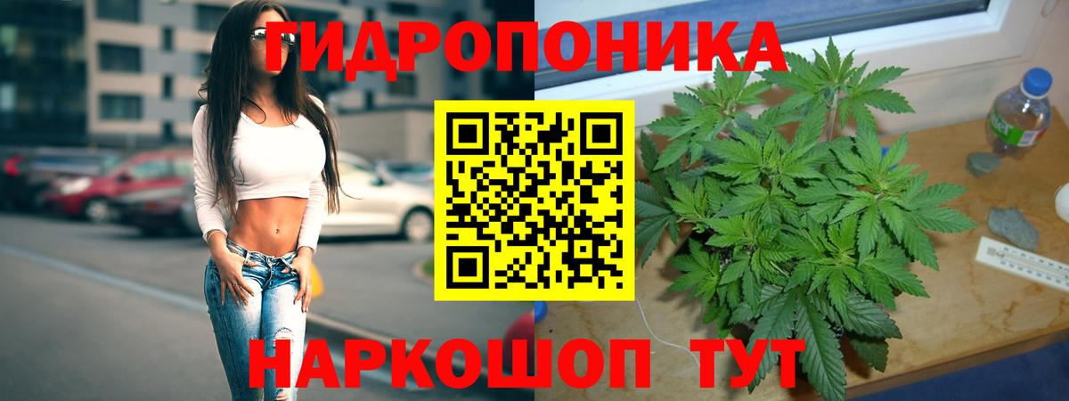 Бошки марихуана LSD WEED  Конопля THC 21%  Вход с VPN  Канабис MAZAR  Россошь 